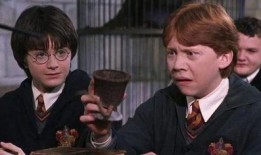 哈利最新爆料,娱乐圈背后的惊人真相